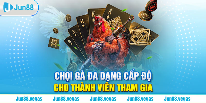 Chọi gà đa dạng cấp độ cho thành viên tham gia