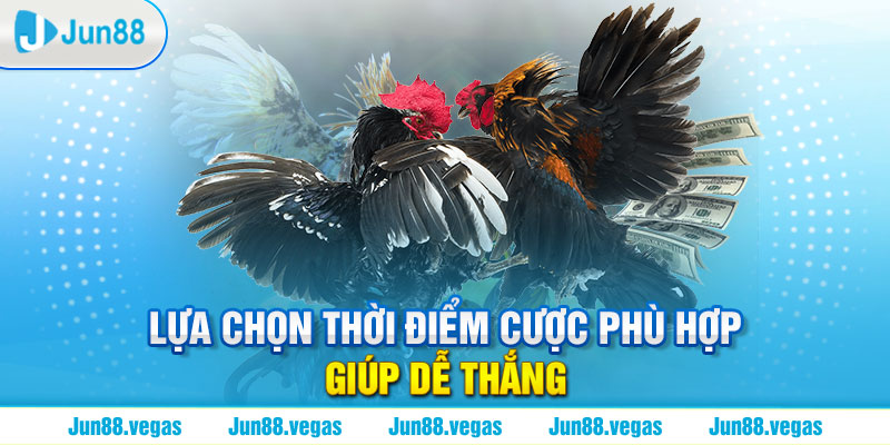 Lựa chọn thời điểm cược phù hợp giúp dễ thắng